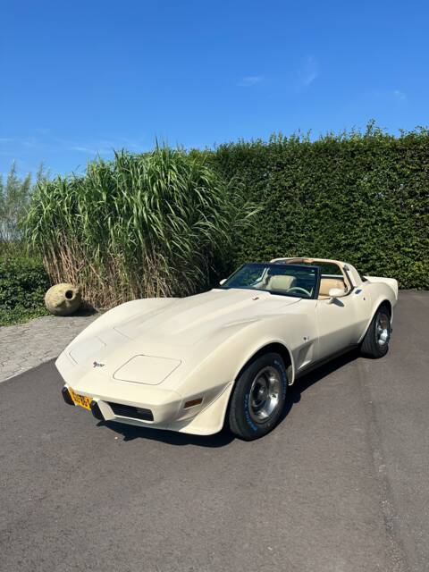 Image 1/21 de Chevrolet Corvette Stingray (1977)