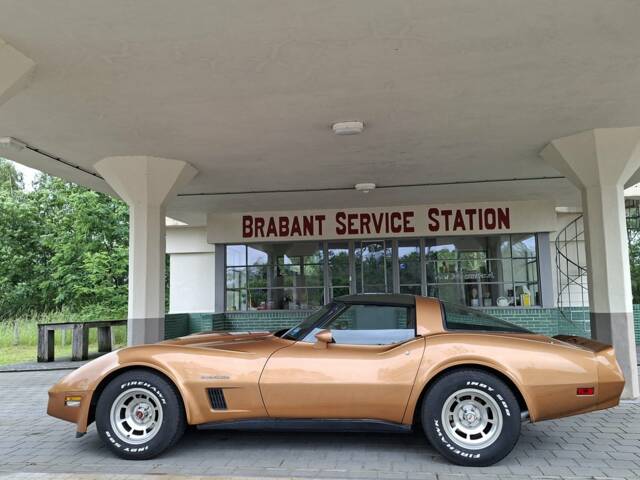 Bild 1/8 von Chevrolet Corvette Cross-Fire Injection (1982)