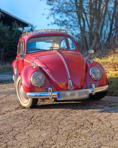 Bild 1/16 von Volkswagen Käfer 1200 Export "Dickholmer" (1963)