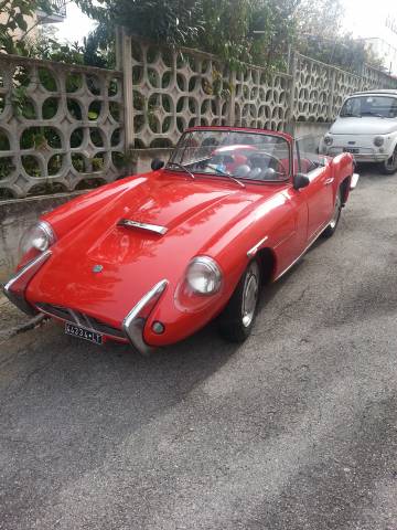 Image 1/10 of Sabra Sport (1965)