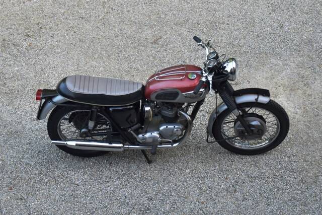 Imagen 1/38 de Triumph DUMMY (1968)
