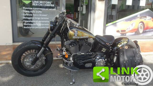 Bild 1/10 von Harley-Davidson DUMMY (2000)