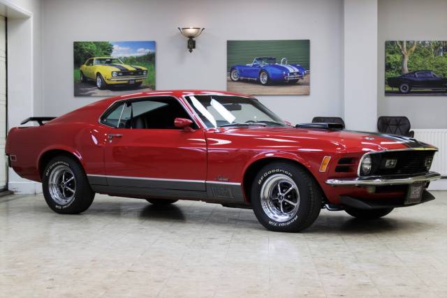 Bild 1/50 von Ford Mustang Mach 1 (1970)