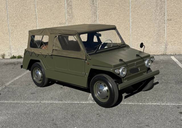 Bild 1/14 von FIAT 600 Savio Jungla (1969)