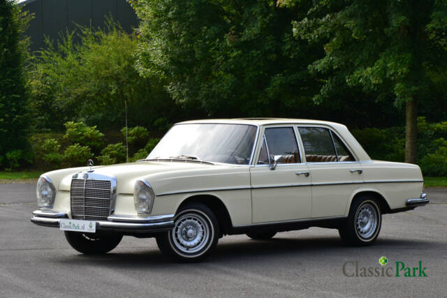 Bild 1/49 von Mercedes-Benz 280 SE 3,5 (1972)