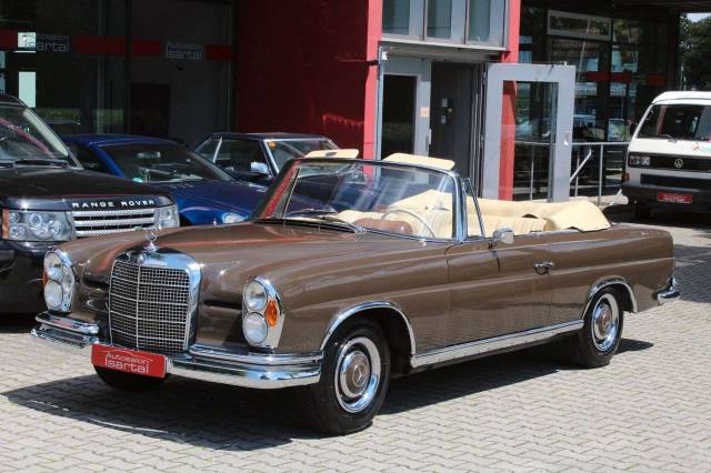 Bild 1/15 von Mercedes-Benz 250 SE (1966)