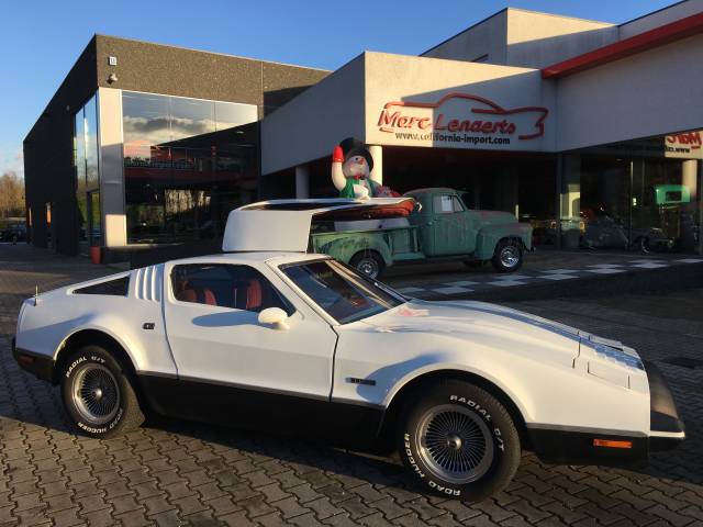 Image 1/9 de Bricklin SV-1 (1975)