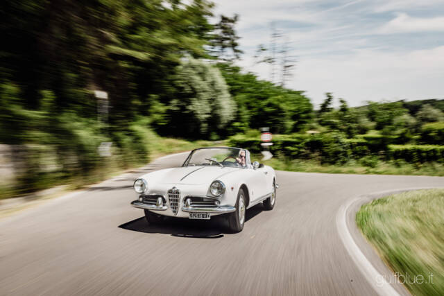 Image 1/71 of Alfa Romeo Giulietta Spider (1960)
