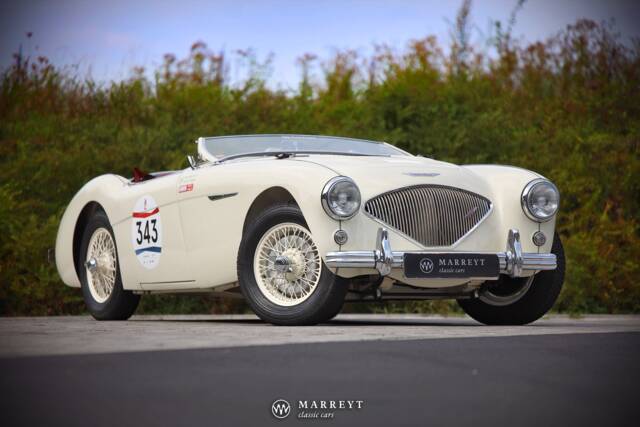 Bild 1/51 von Austin-Healey 100/4M (BN2) (1955)