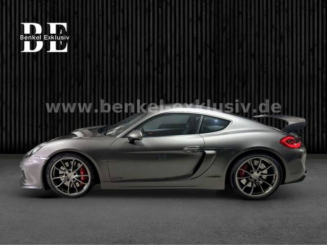 Immagine 1/15 di Porsche Cayman GT4 (2015)