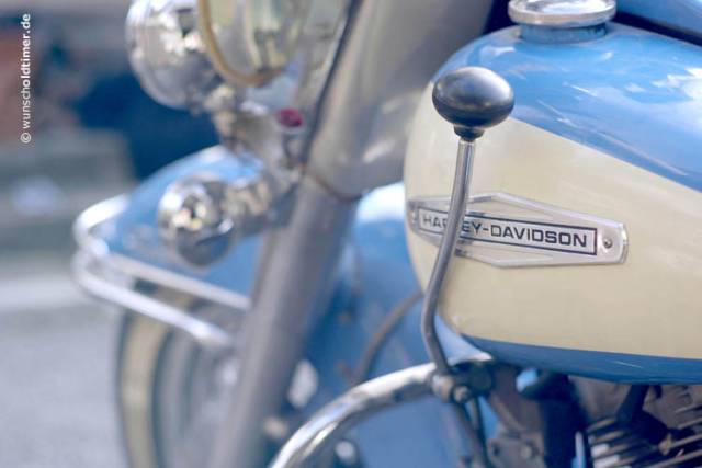 Immagine 1/19 di Harley-Davidson DUMMY (1968)