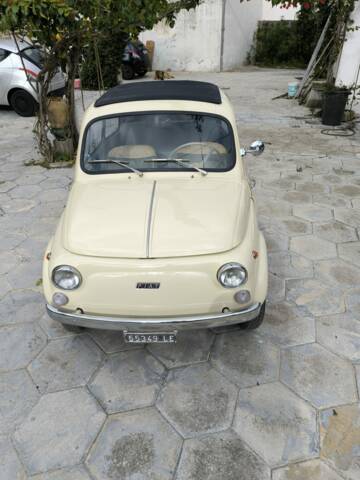 Immagine 1/16 di FIAT 500 D (1964)