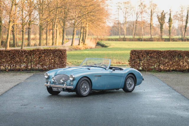Imagen 1/37 de Austin-Healey 100/4 (BN1) (1955)