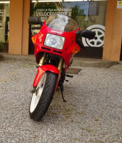 Immagine 1/10 di Ducati 350 SS (1992)