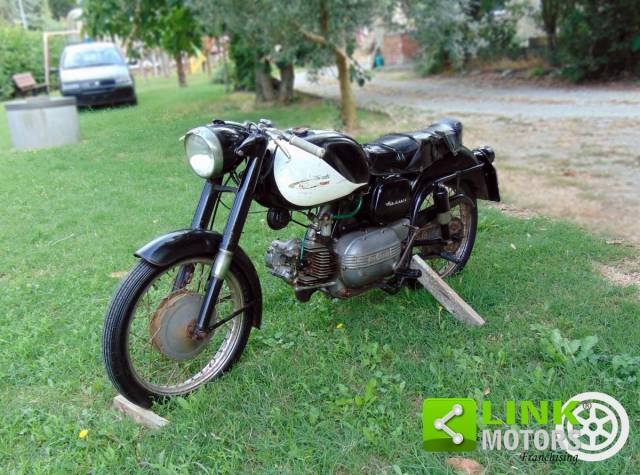Immagine 1/9 di Aermacchi Ala Bianca (1957)