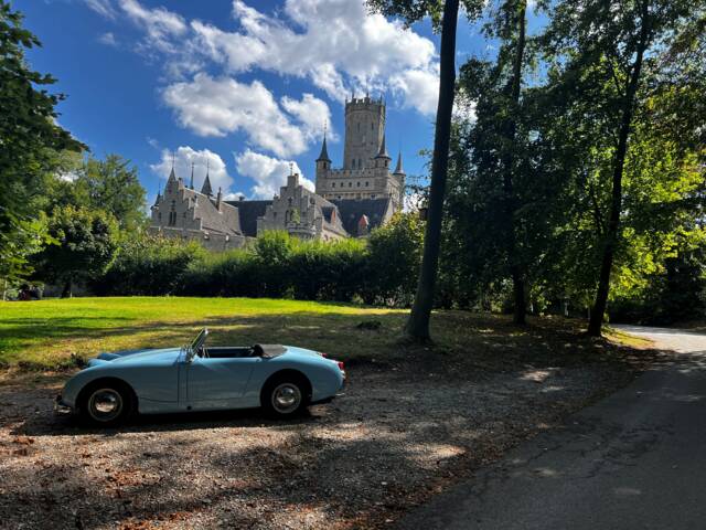 Imagen 1/15 de Austin-Healey Sprite Mk I (1960)