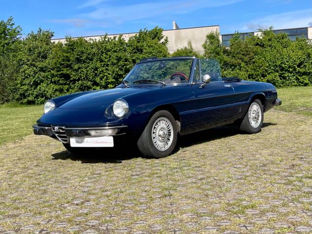 Bild 1/22 von Alfa Romeo 2000 Spider Veloce (1979)