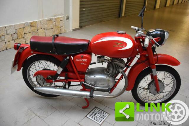 Immagine 1/10 di Moto Guzzi DUMMY (1960)