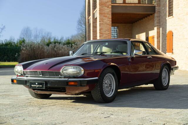 Image 1/50 de Jaguar XJ-S 3.6 (1988)