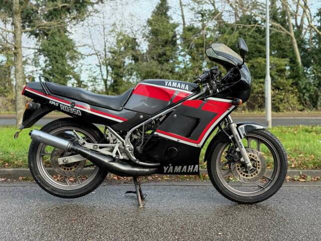 Bild 1/47 von Yamaha DUMMY (1989)