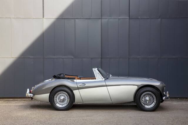 Bild 1/8 von Austin-Healey 3000 Mk III (BJ8) (1964)