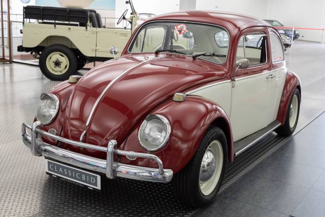 Immagine 1/37 di Volkswagen Maggiolino 1200 (1965)