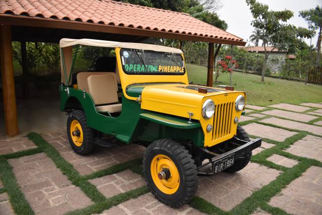 Afbeelding 1/100 van Willys CJ-3B (1954)