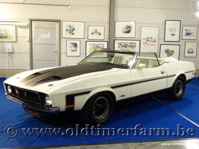 Image 1/15 of Ford Mustang 302 (1973)