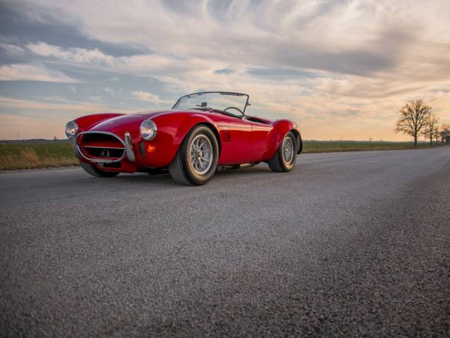 Image 1/40 of Shelby Cobra 427 (1966)