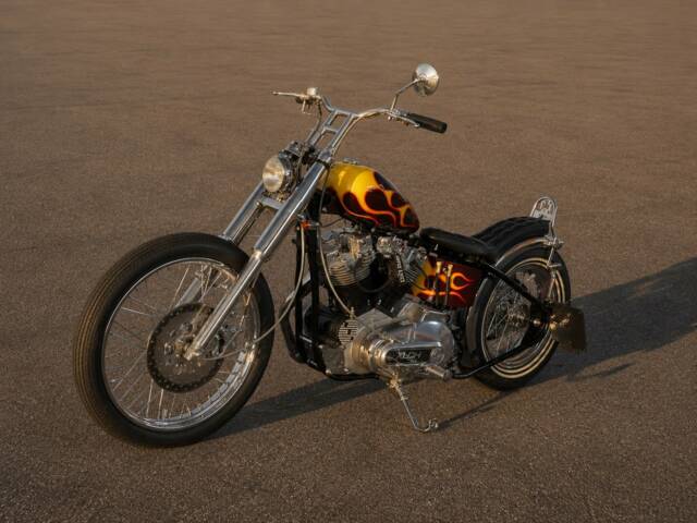Imagen 1/24 de Harley-Davidson Easy Rider Billy Bike (1900)