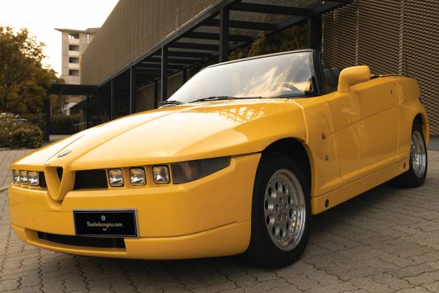 Bild 1/50 von Alfa Romeo RZ (1994)