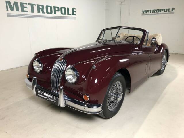 Bild 1/28 von Jaguar XK 140 SE DHC (1956)