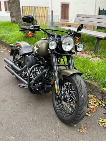Bild 1/21 von Harley-Davidson DUMMY (2016)