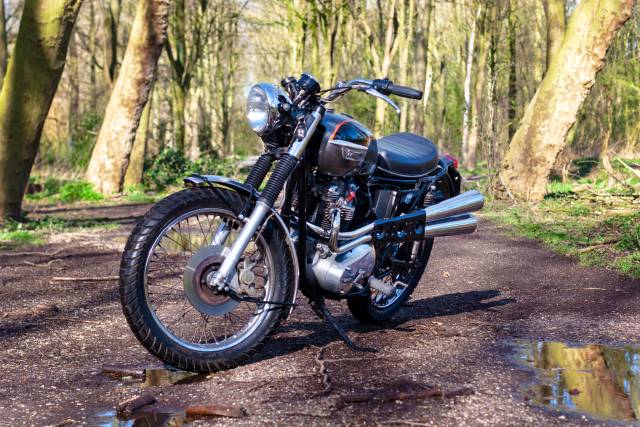 Image 1/20 de Triumph DUMMY (1979)