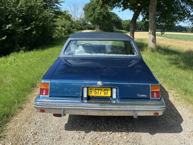 Imagen 1/1 de Cadillac Seville Grandeur Opera (1979)