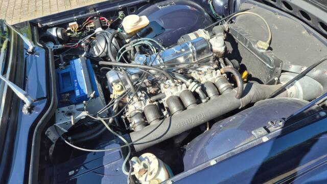 Image 1/100 de Triumph TR 6 PI (1971)