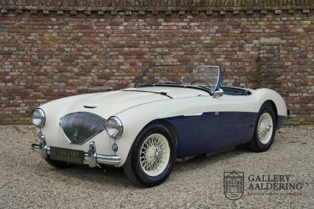 Image 1/50 of Austin-Healey 100/4 (BN1) (1954)