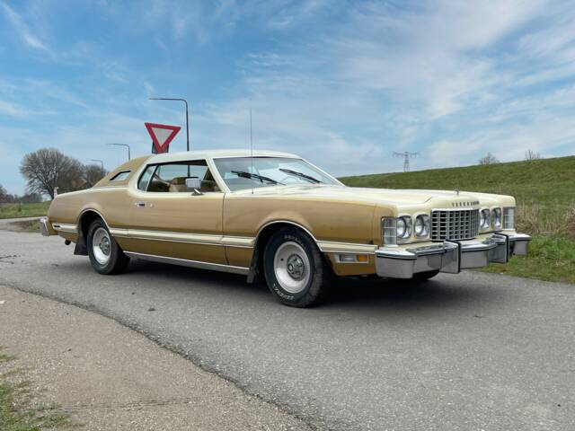 Image 1/8 de Ford Thunderbird (1976)