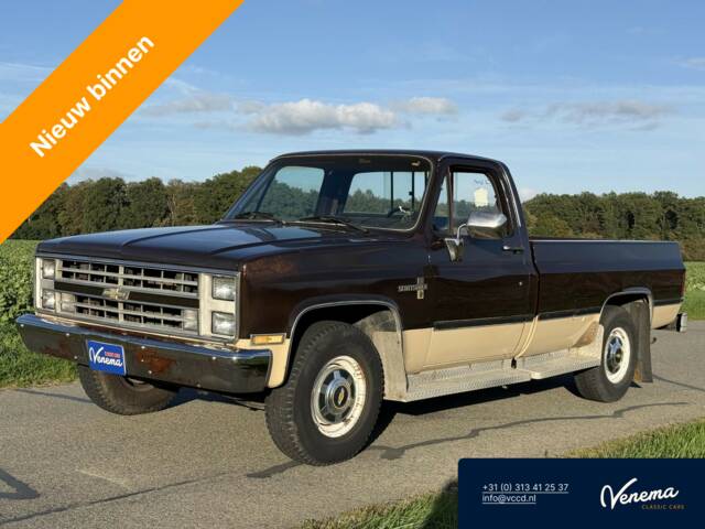 Imagen 1/23 de Chevrolet C 20 (1986)
