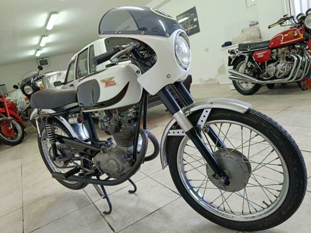 Bild 1/6 von Moto Morini Corsaro 125 (1961)