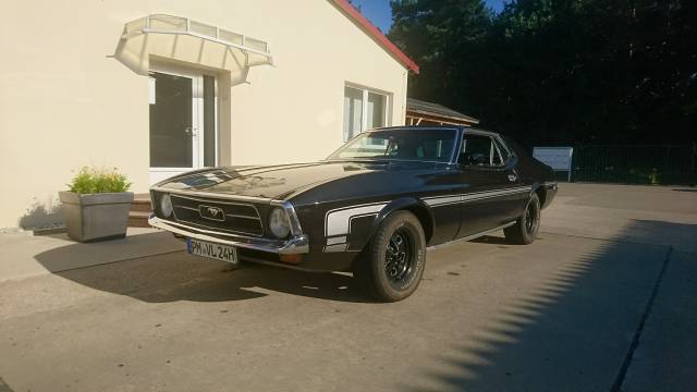 Bild 1/15 von Ford Mustang 351 (1970)