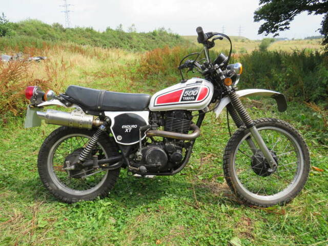 Bild 1/40 von Yamaha DUMMY (1976)