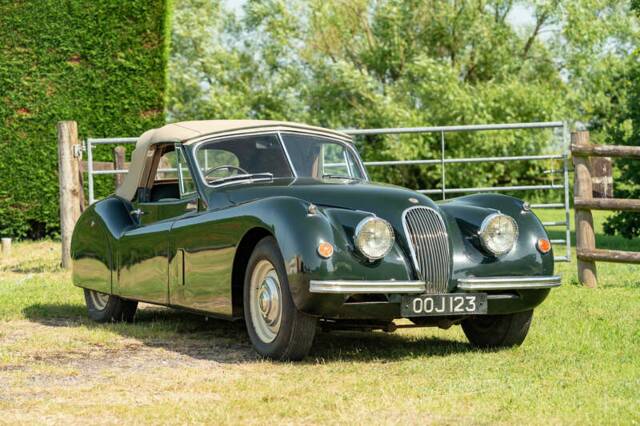 Image 1/50 of Jaguar XK 120 DHC (1954)