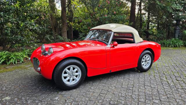 Image 1/11 of Austin-Healey Sprite Mk I (1961)