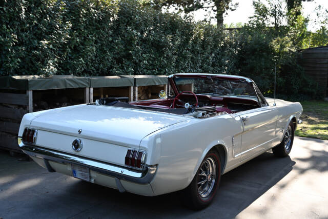 Afbeelding 1/21 van Ford Mustang 289 (1965)