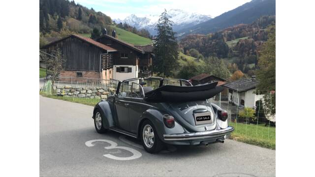 Bild 1/63 von Volkswagen Käfer 1302 LS (1971)