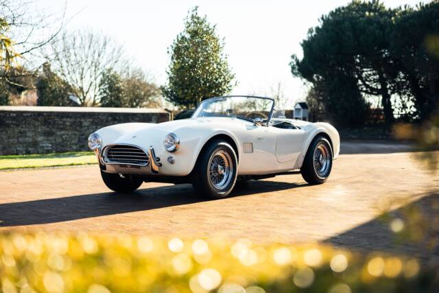 Image 1/49 of Shelby Cobra 289 (1964)