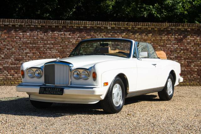 Image 1/50 de Bentley Continental (1994)