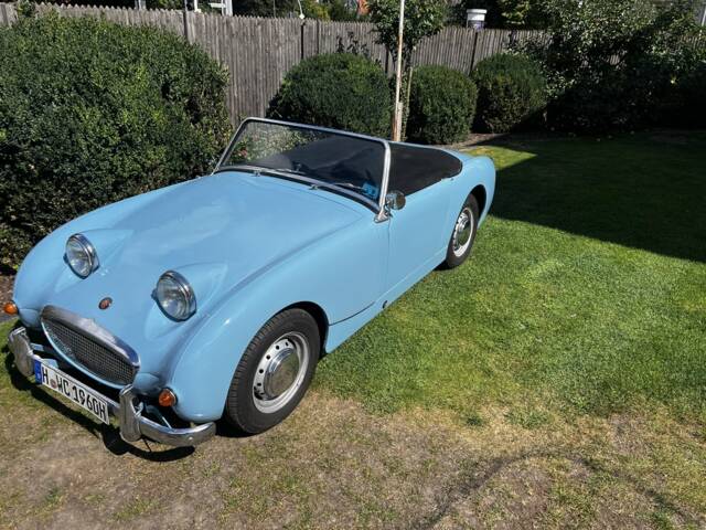 Afbeelding 1/8 van Austin-Healey Sprite Mk I (1960)
