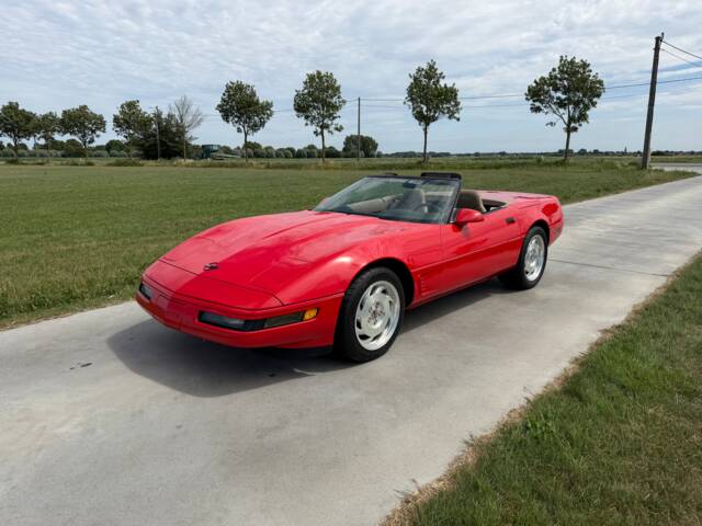 Image 1/43 of Chevrolet Corvette Convertible (1995)